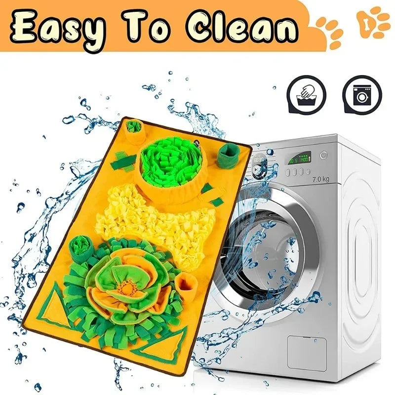 See43f98a494243f7839a9a26bde3c592Q